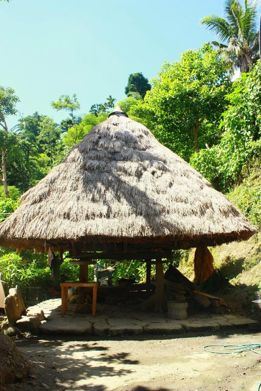 Отель Batad Transient House Банаю Номер фото